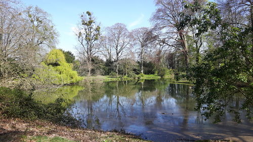 Scenic view of lake in forest against sky