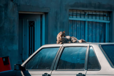 Car on street