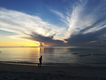 Silhouette person on beach against sky during sunset