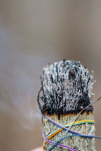 Close-up of smoke emitting from burnt sage