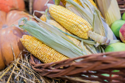 Corn cobs in a basket, fall and autumn seasonal concept for holidays