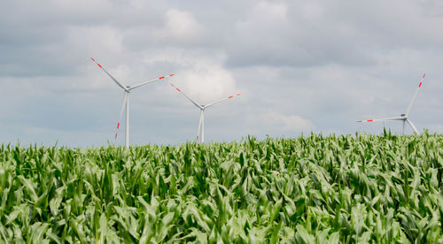 Wind turbines on field against sky