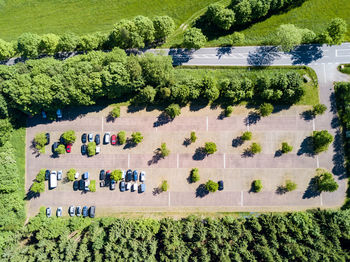 High angle view of trees and cars on sunny day