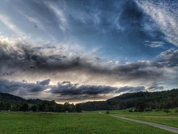 Scenic view of field against sky