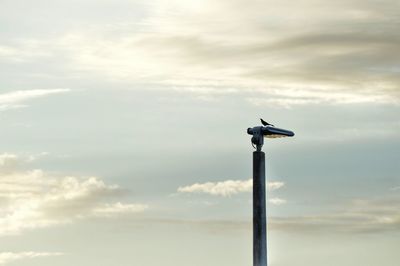 Low angle view of bird perching on pole against sky