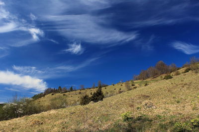 Panoramic view of landscape against sky