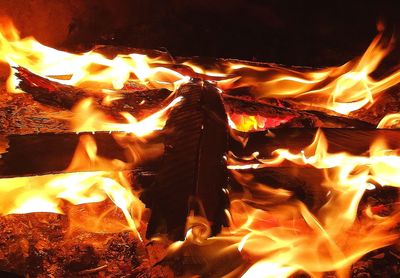 Close-up of bonfire at night