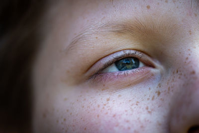 Close-up of human eye