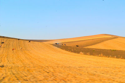 Scenic view of desert against clear sky