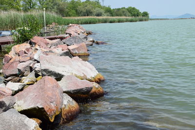 River flowing through rocks