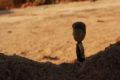 Close-up of silhouette on sand at beach