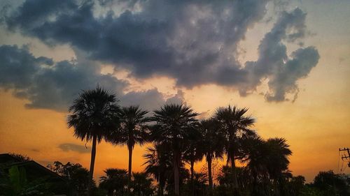 Low angle view of silhouette trees against sky during sunset