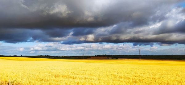 Scenic view of field against cloudy sky