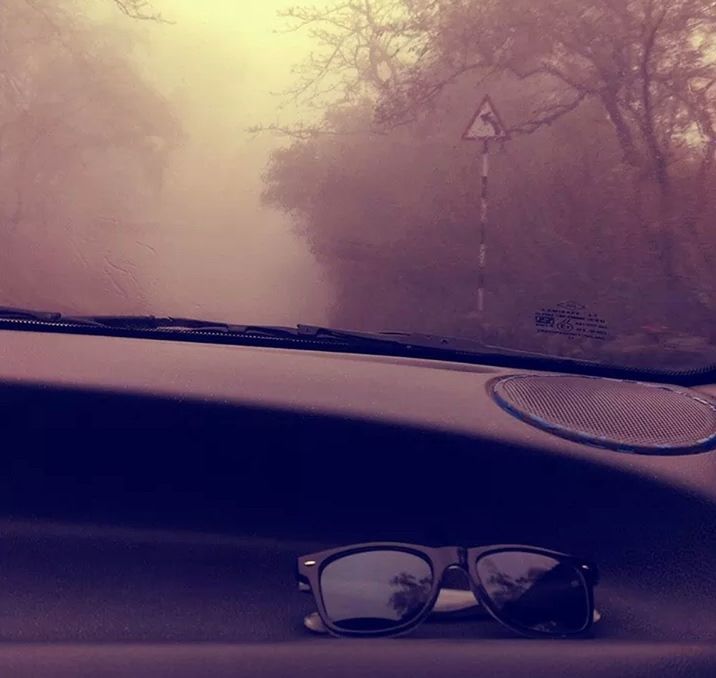 glass - material, transparent, indoors, close-up, window, reflection, water, transportation, no people, car, glass, land vehicle, focus on foreground, wall - building feature, day, empty, mode of transport, tree, part of, built structure