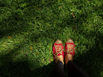 Low section of woman standing on grassy field