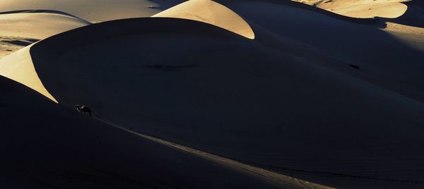 Silhouette of people in sea