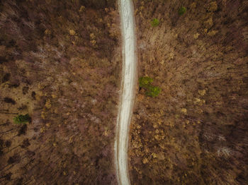 High angle view of waterfall in forest