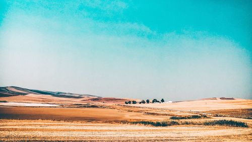 Scenic view of landscape against clear sky