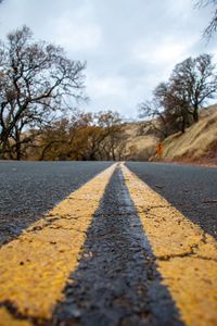 Surface level of road amidst trees against sky