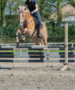 Man riding horse