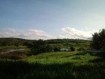 Scenic view of field against sky