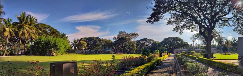 Panoramic shot of trees on field against sky