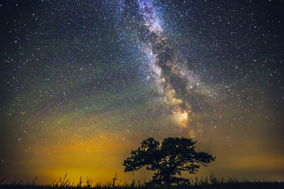 Low angle view of silhouette trees against sky at night