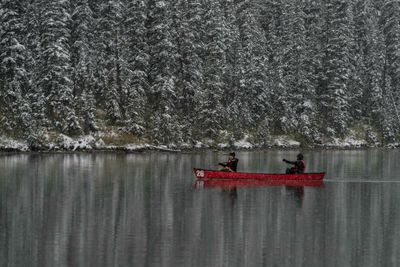 Scenic view of lake against trees