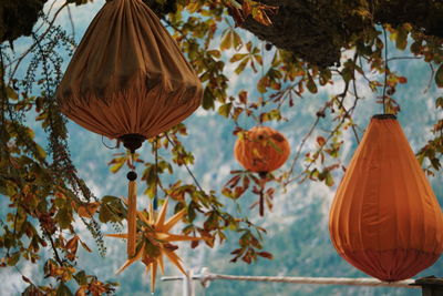 Low angle view of lanterns hanging on tree by sea