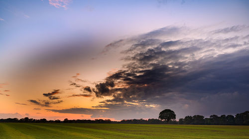 Scenic view of field against sky during sunset
