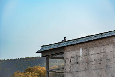 Low angle view of bird perching on building against sky