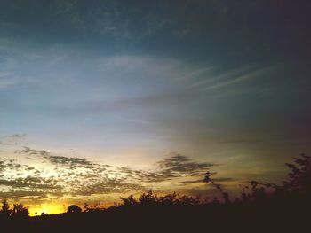 Low angle view of silhouette trees against sky during sunset