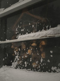 Close-up of snow on water