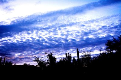 Silhouette of trees against cloudy sky