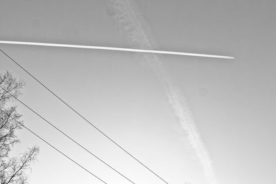 Low angle view of bird flying in sky