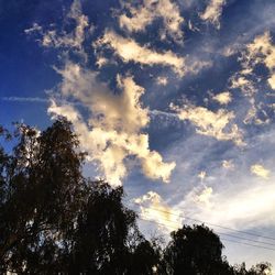 Low angle view of trees against cloudy sky