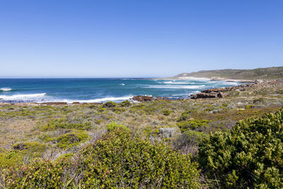 Scenic view of sea against clear blue sky