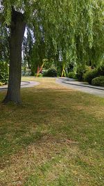 Trees on grass