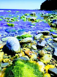 Close-up of rocks in sea