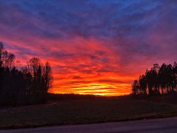 Scenic view of silhouette trees against sky during sunset