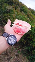 Close-up of person holding ice cream