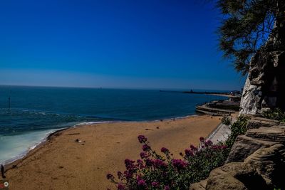 Scenic view of sea against clear blue sky