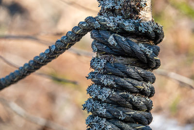 Close-up of rope tied to metal fence