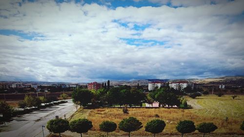 Trees on field against cloudy sky