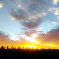 Silhouette trees against sky during sunset