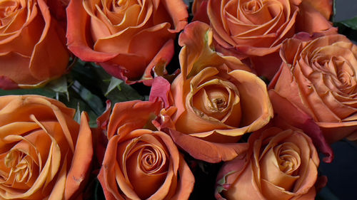 Close-up of rose bouquet