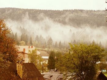 High angel view of village against forest