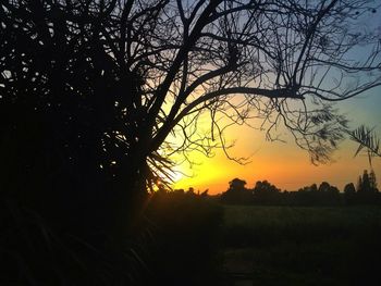 Scenic view of landscape at sunset