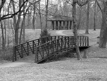 Railing against trees