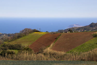 Agricultural landscape of fontanales, gran canaria